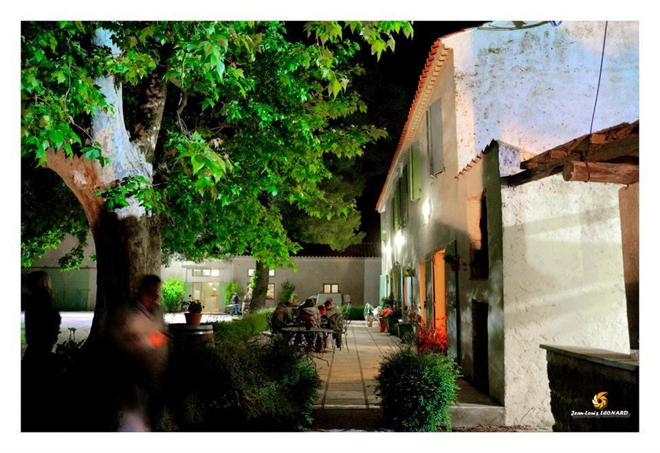 Manade Saint Louis Mas De La Paix Bed & Breakfast Vauvert Dış mekan fotoğraf