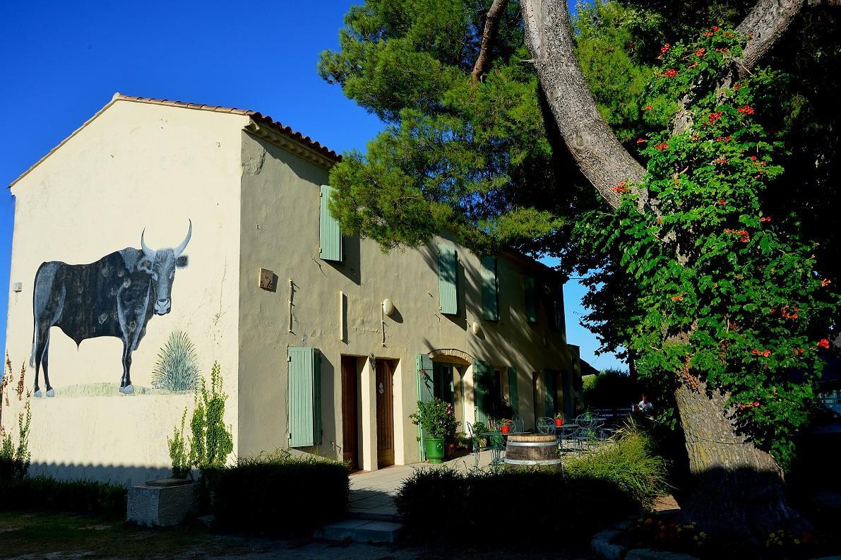 Manade Saint Louis Mas De La Paix Bed & Breakfast Vauvert Dış mekan fotoğraf