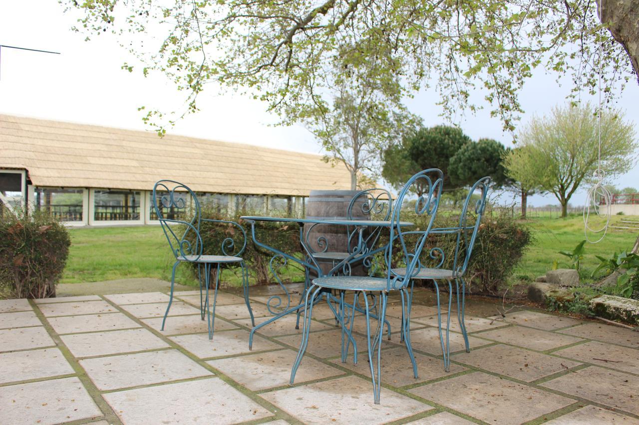 Manade Saint Louis Mas De La Paix Bed & Breakfast Vauvert Dış mekan fotoğraf