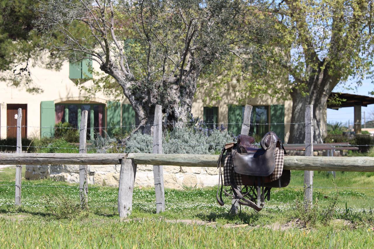 Manade Saint Louis Mas De La Paix Bed & Breakfast Vauvert Dış mekan fotoğraf